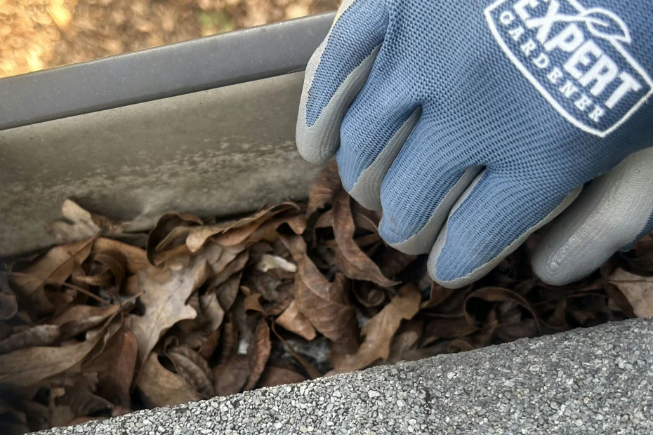 Gutter Cleaning Seabrook Island