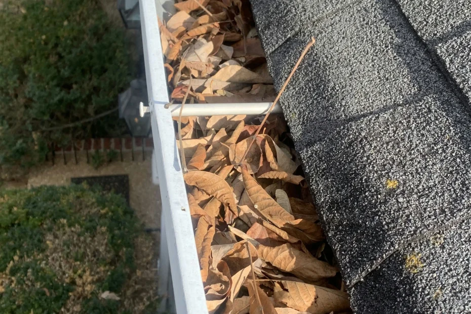 Gutter Cleaning Seabrook Island