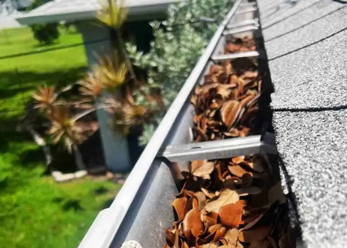 Gutter Cleaning Seabrook Island home page